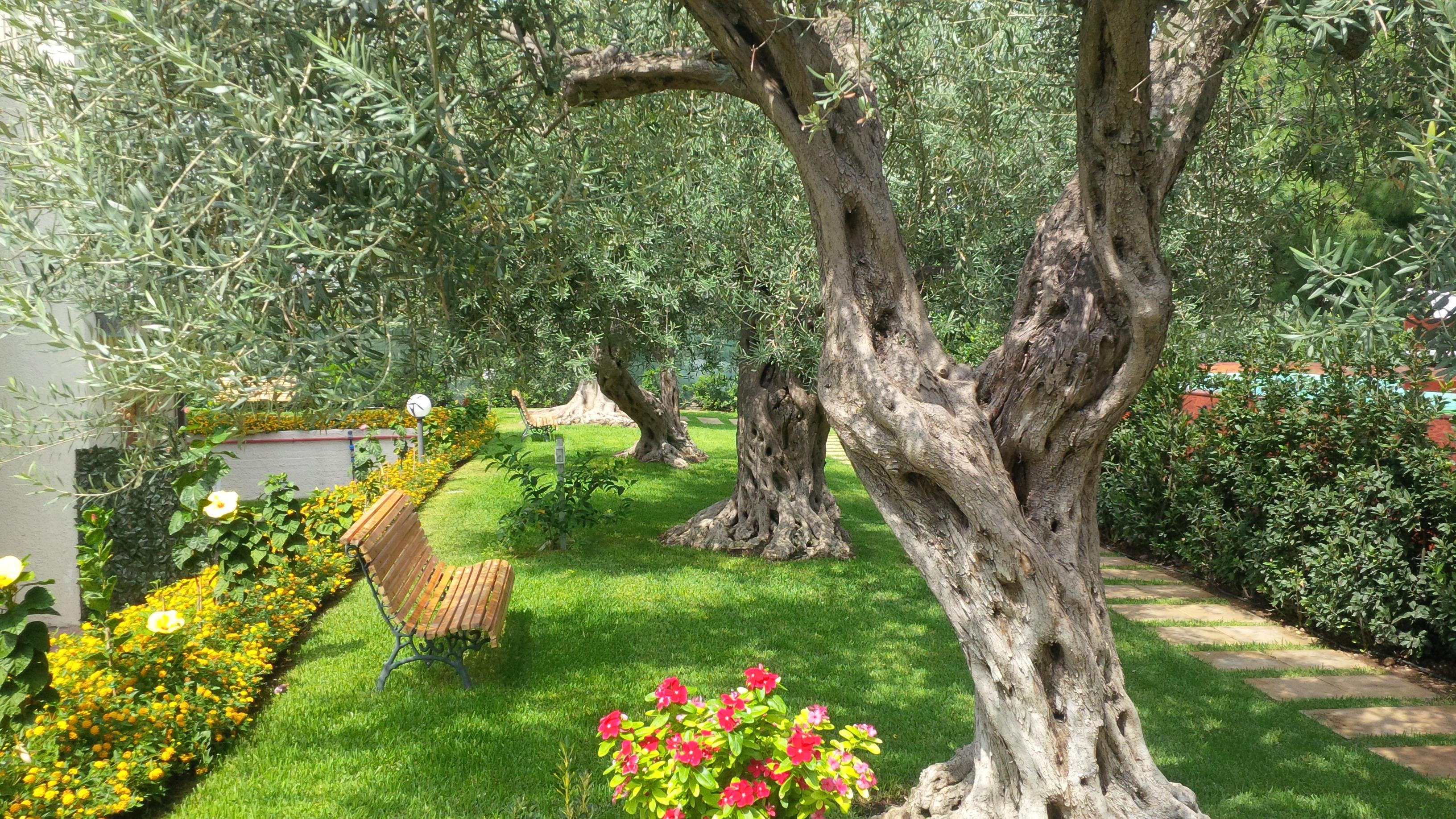 Villa Collina Джардини Наксос Екстериор снимка